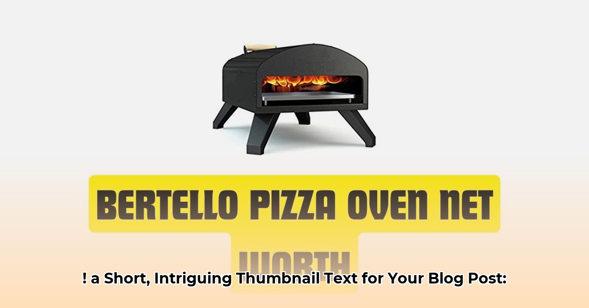 bertello-pizza-oven-net-worth
